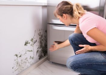 Влага и высолы на стенах и потолке. Как это исправить?