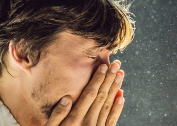 Гипоаллергенный интерьер