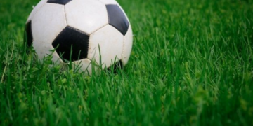 Жирный каппер отзывы – прогнозы на спорт в телеграме: Как выбрать лучшего каппера?