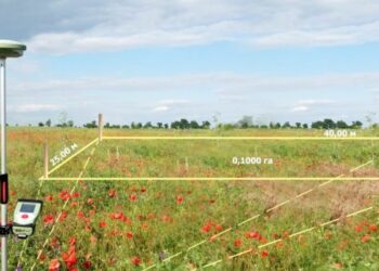 Вынос границ земельного участка: основные моменты и цены